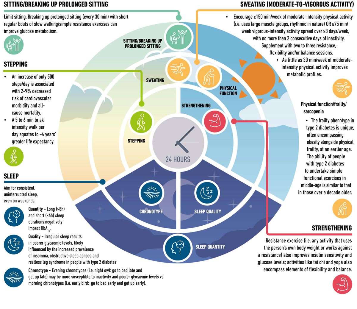 effectsof phsical behaviours in type 2 diabetes